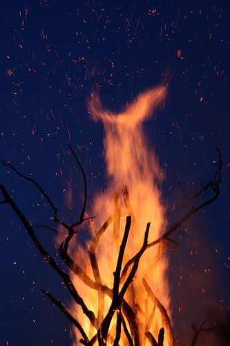 FIRED! (CC).jpg