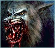 Lobo04.jpg