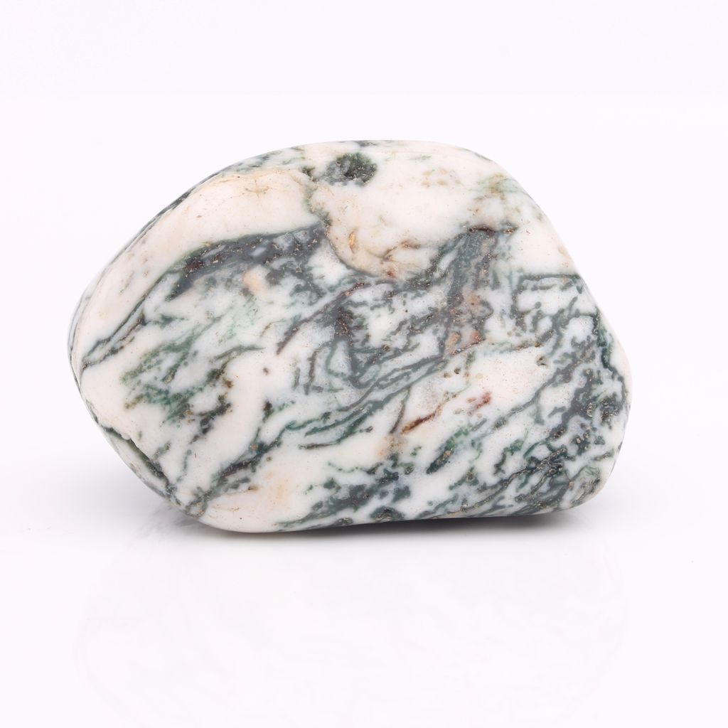 Tree agate Encyclopedia gemstonia Wiki Fandom