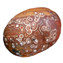 Dendritic agate wiki cheap