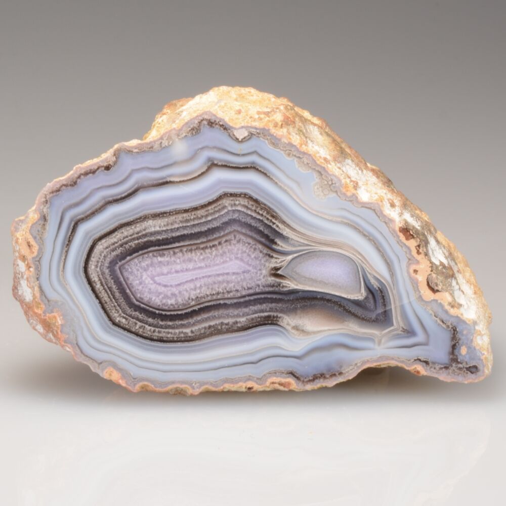 Agate wiki shop