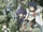 Log Horizon