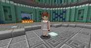 Female skin for the Butcher/Leatherworker Villager
