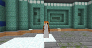Female skin for the Snow Golem after being Sheared