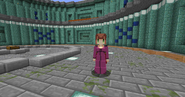 Female skin for the Cleric Villager