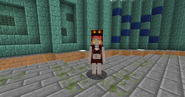 Female skin for the Big Magma Cube