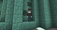 Female skin for the Vindicator