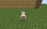 Female skin for the Silverfish