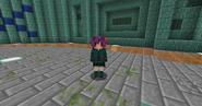 Female skin for the Cave Spider