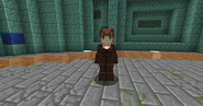 Female skin for the Farmer/Fisherman/Shepherd/Fletcher Villager