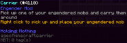 Item Description