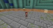 Female skin for the Small Magma Cube