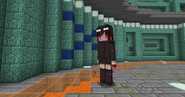 Female skin for the Enderman