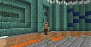 Male skin for the Husk