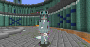 Female skin for the Icy Ender Creeper