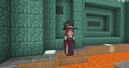 Female skin for the Witch