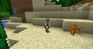 Male skin for the Husk Chicken Jockey