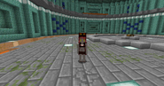 Female skin for the Medium Magma Cube