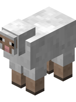 320px-White Sheep