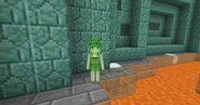 Female skin for the Medium Slime