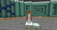 Female skin for the Snow Golem