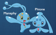 Manaphy-e-Phione-1-