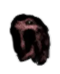 Entities Endless Doors Wiki Fandom