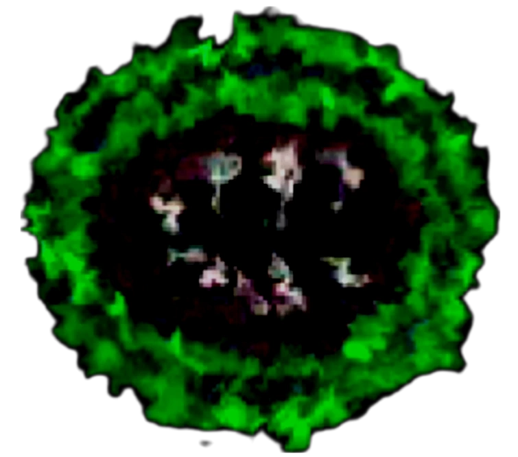 Terminal Endless doors Wiki Fandom