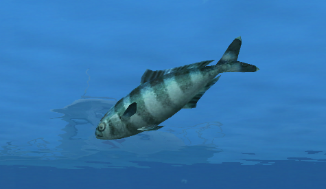 Pilotfish, Endless Ocean Wiki