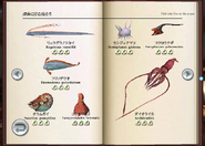 An early screenshot of the marine encyclopedia. Note the layout of creatures on the page, back button icon, lack of page number, and scientific name changes.