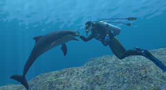 その他 Artbeats Dolphins Amazon.com: StealStreet SS-G-90065 Marine Life Two Dolphin