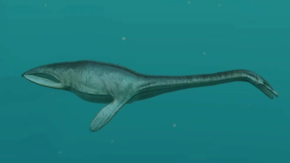 Plesiosaurus Endless Ocean Wiki Fandom