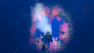 Coral Tunnel