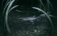 Goblin Shark EO1 2