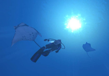 An Endless Ocean promotional image.