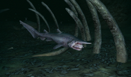 The goblin shark as it appears in the first Endless Ocean game.