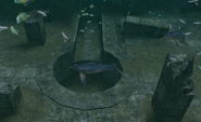 The Sacrificial Well.