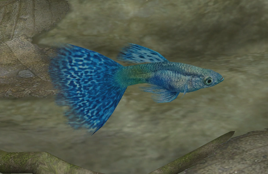 Guppy | Endless Ocean Wiki | Fandom