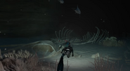 Deep Ocean Trench