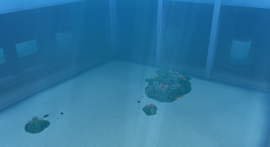 Aquarium (EO1), Empty