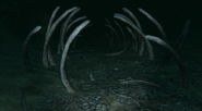 The ribcage of the whale skeleton in Whalebone Chasm.