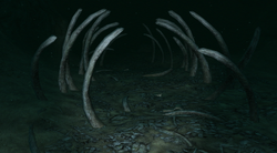 Whalebone Chasm 4
