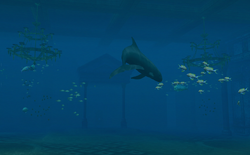 Mermaid's Ballroom 2