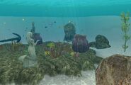 Another layout of the Private Reef with different decorations.