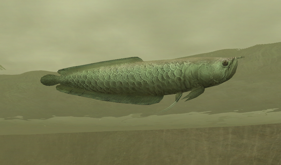 green pearl arowana