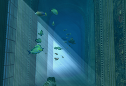Underwater Gallery