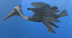 Simurgh Daria EOL