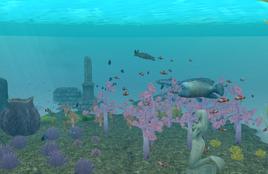 Private Reef 1