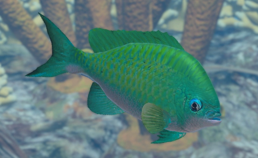 Blue Green Damselfish | Endless Ocean Wiki | Fandom
