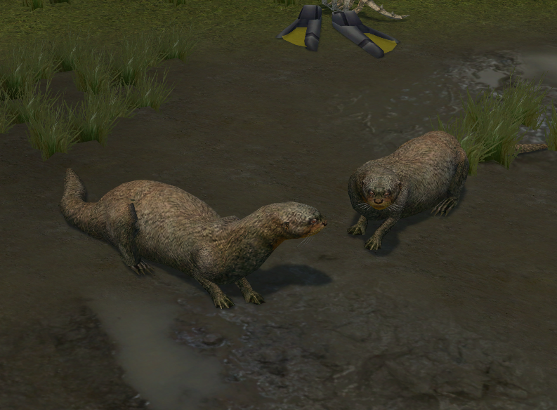 Giant Otter Endless Ocean Wiki Fandom Giant Otter Endless Ocean Wiki Fandom